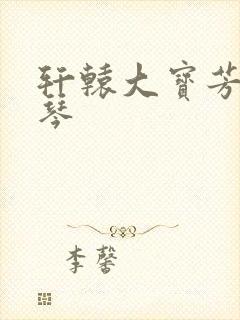 轩辕大宝芳菲雅琴