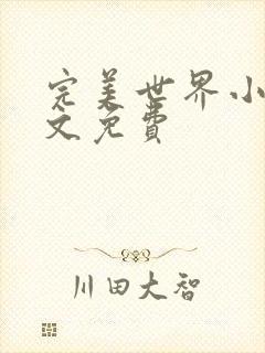 完美世界小说全文免费封面