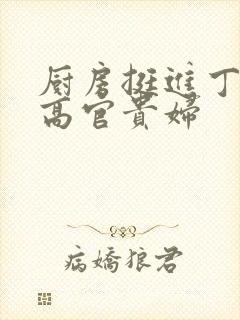 厨房挺进丁字裤高官贵妇封面