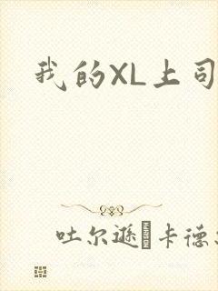 我的XL上司