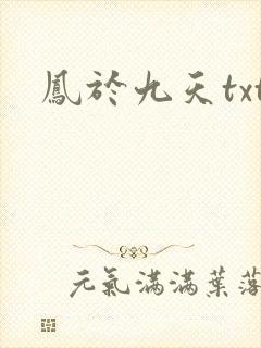凤于九天txt