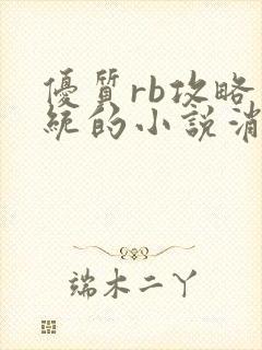 优质rb攻略系统的小说消防员封面