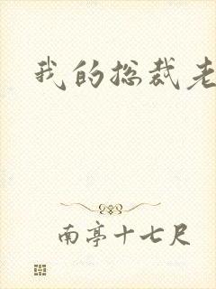 我的总裁老妈封面