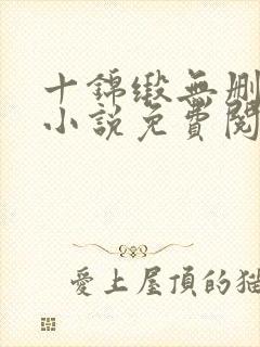 十锦缎无删原著小说免费阅读