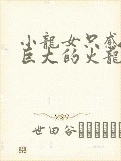 小龙女只感觉那巨大的火龙枪封面
