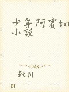 少年阿宾txt小说