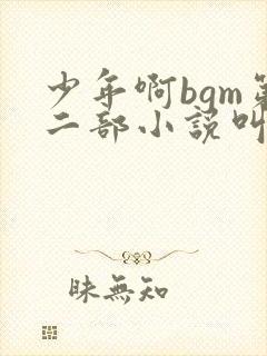 少年啊bgm第二部小说叫什么
