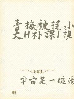 青梅被从小摸到大H补课1视频