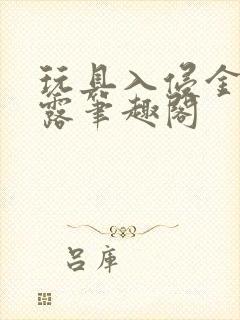 玩具入侵金银花露笔趣阁封面