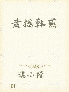 黄总韩燕封面