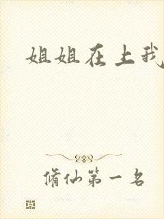 姐姐在上我在下