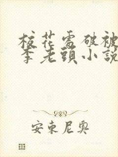 校花处破被灌满李老头小说封面