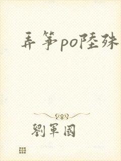 弄筝po陆殊词封面