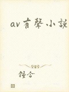 av有声小说