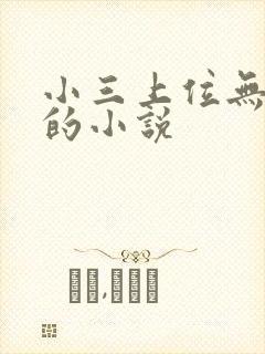 小三上位无三观的小说