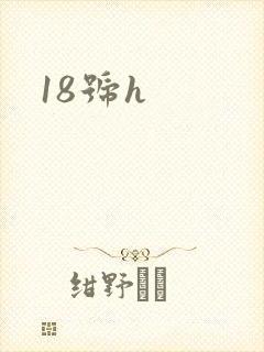 18号h