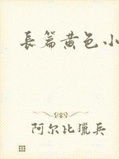 长篇黄色小说封面