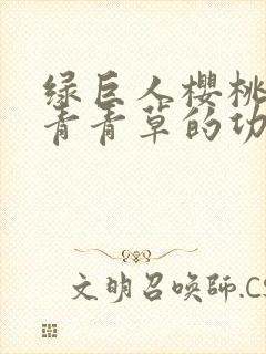 绿巨人樱桃荔枝青青草的功效