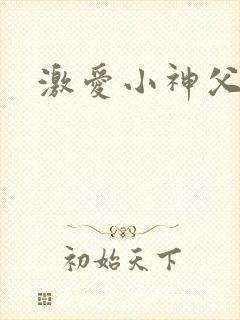 激爱小神父