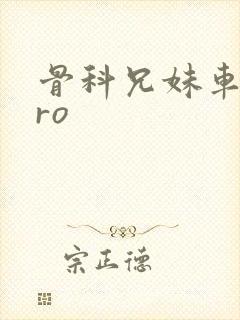 骨科兄妹车多pro