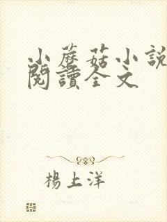 小蘑菇小说免费阅读全文