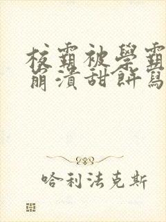 校霸被学霸玩到崩溃甜饼写手封面