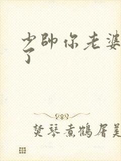 少帅你老婆又跑了