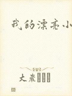 我的漂亮小后妈