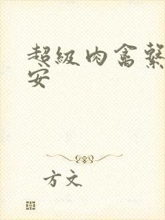 超级肉禽系统保安