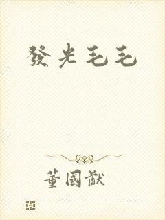 发光毛毛