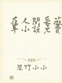 在人间采薇陆三平小说免费阅读