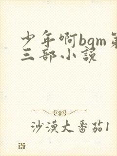 少年啊bgm第三部小说