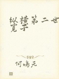 纵横第二世界 宽子