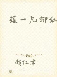 张一凡柳红