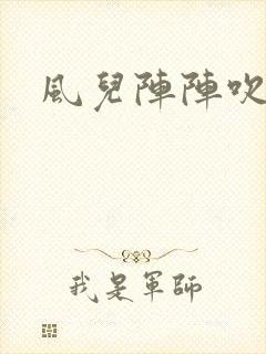 风儿阵阵吹封面