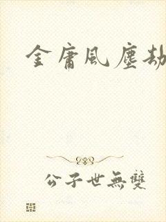 金庸风尘劫封面