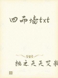 四面墙txt