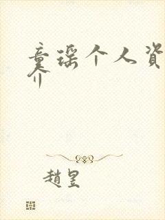 童瑶个人资料简介