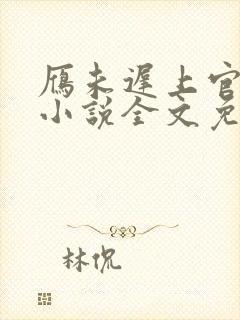 雁未迟上官穿越小说全文免费阅读封面