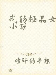 我的极品女老师小说封面