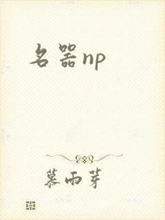 名器np