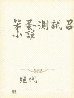 笨蛋测试召唤兽小说
