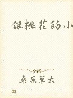 银桃花的小说