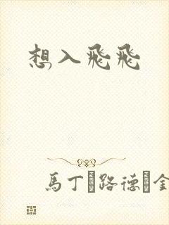 想入飞飞封面