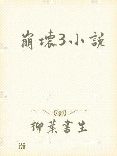 崩坏3小说