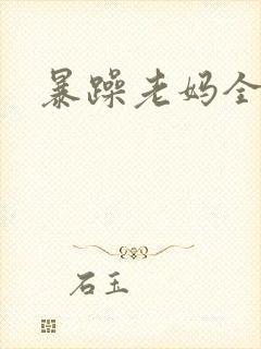 暴躁老妈全集封面