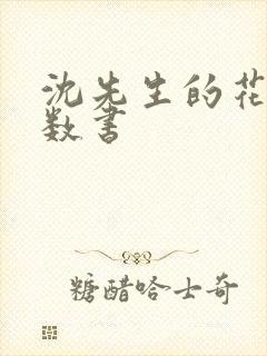 沈先生的花式调数书