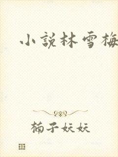 小说林雪梅