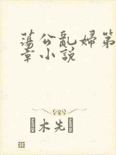 荡公乱妇第51章小说