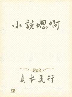 小说嗯啊